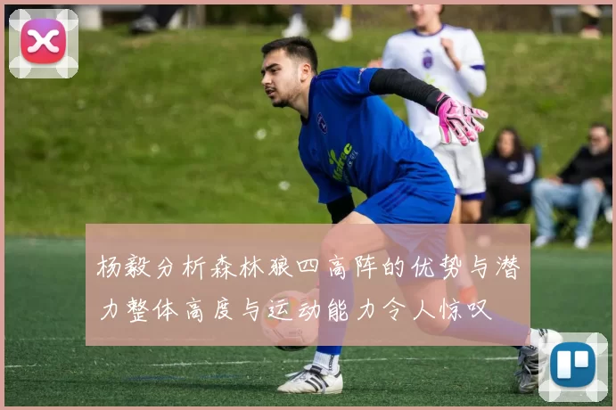杨毅分析森林狼四高阵的优势与潜力整体高度与运动能力令人惊叹