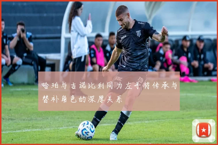 哈珀与吉诺比利同为左手将传承与替补角色的深厚关系